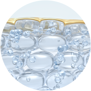 Zero H2O Technology™ Transportiert das Hyaluron effizienter in die Hautoberfläche, da es 500x kleiner als herkömmliches HA* ist und daher 4x tiefgreifender**, sodass die Hau umgehend aufgepolstert wird.