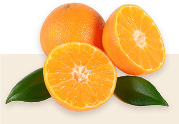 Die Kopfnote öffnet sich mit dem prickelnden Aroma von Zitrone und Mandarine, umhüllt von frischen, ozonischen Noten und Veilchenblättern