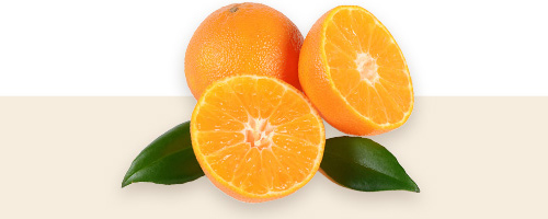 Die Kopfnote öffnet sich mit dem prickelnden Aroma von Zitrone und Mandarine, umhüllt von frischen, ozonischen Noten und Veilchenblättern