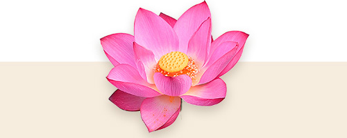 Die Herznote des Duftes besteht aus einem wunderschönen Bouquet aus Lotusblume, angereichert mit Jasmin