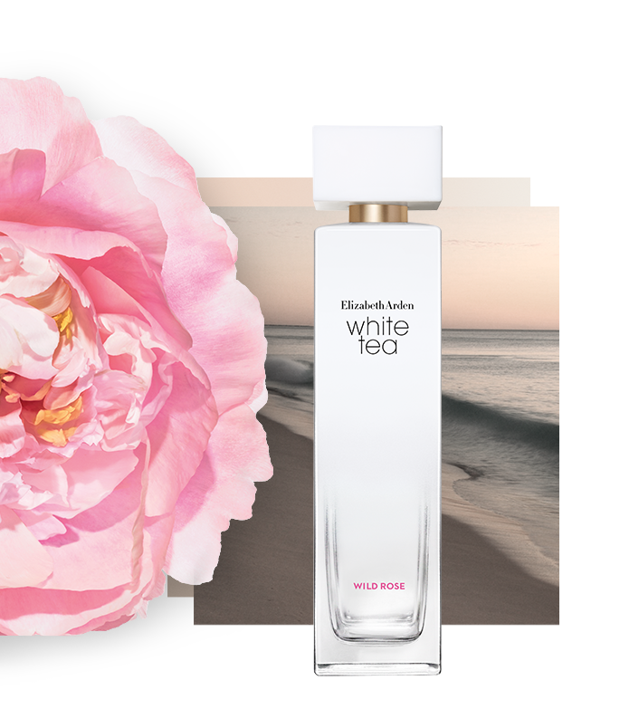 Wild Rose - Ein lieblicher, zarter, floraler Duft mit sanfter Brise, die ein Lächeln auf Ihr Gesicht zaubert.